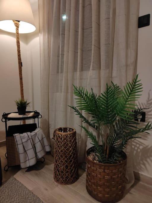 Cosy House With Garden Apartment Volos Ngoại thất bức ảnh